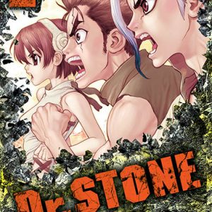 Dr. Stone 2