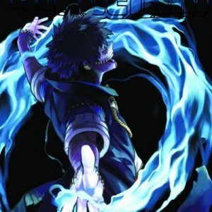 MY HERO ACADEMIA 30