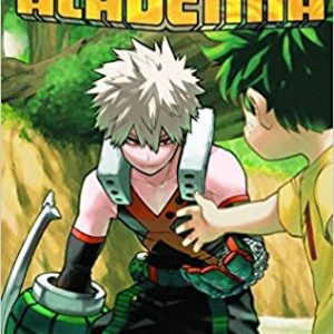 MY HERO ACADEMIA 29