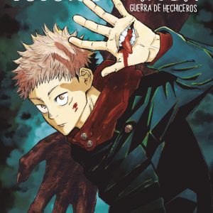 Jujutsu Kaisen 1