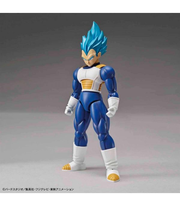 Dragon Ball - Figure-rise Standard Super Saiyan God Super Saiyan Vegeta