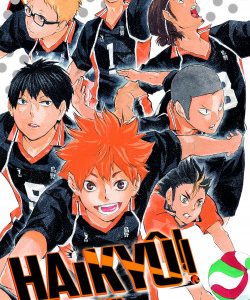 HAIKYU!! 12
