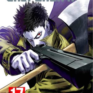 One Punch-Man 17