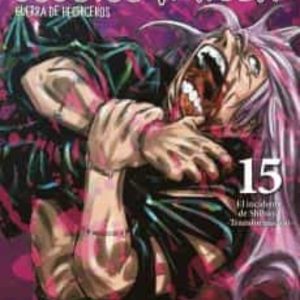 Jujutsu Kaisen 15